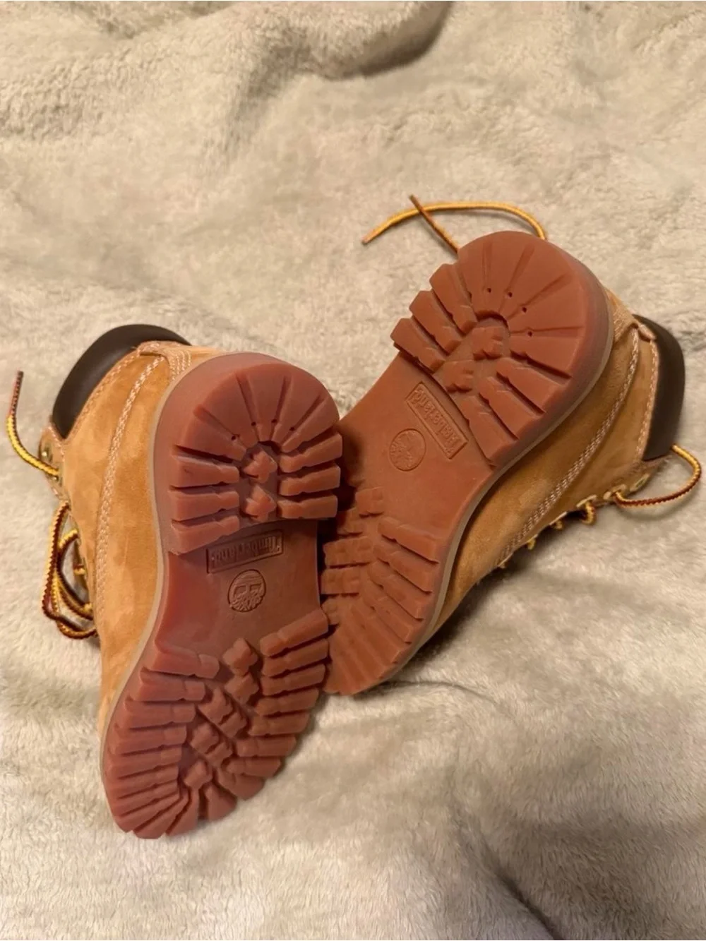 Timberland durable wheat